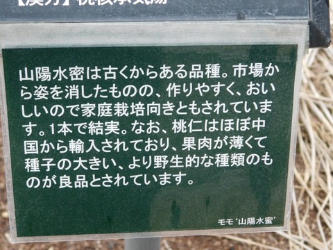DSCN3664