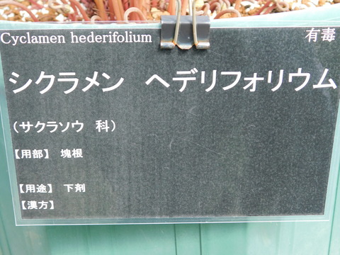DSCN2812