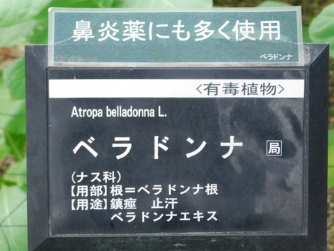 DSCN7147