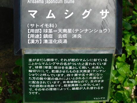 DSCN9244