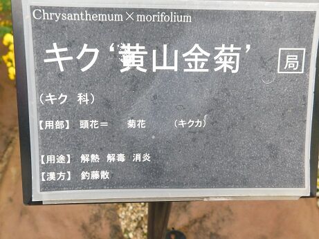 DSCN8859