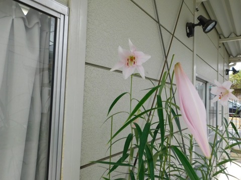 DSCN6882