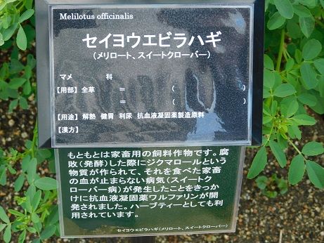 DSCN4893