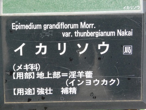 DSCN3668