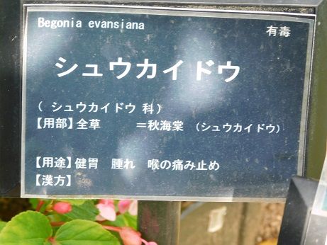 DSCN6167