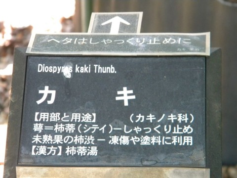 DSCN9443