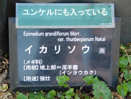 DSCN7192