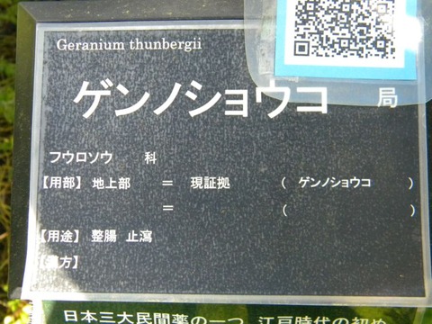 DSCN9968