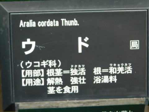 DSCN7100