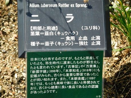DSCN3627