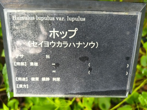 IMG_20260911_135402591_HDR