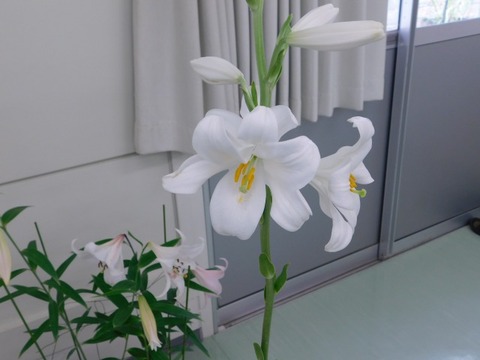 DSCN6724