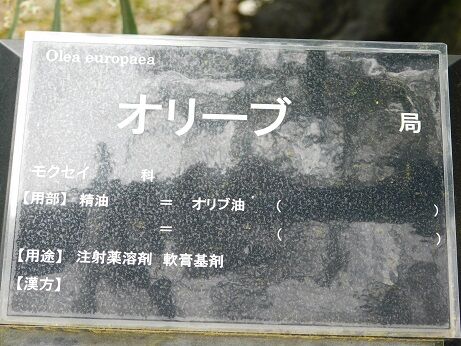 DSCN9579