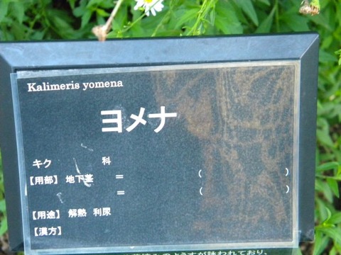 DSCN9972