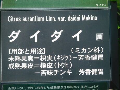 DSCN8399
