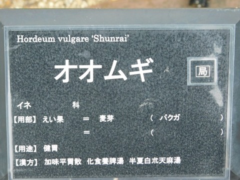 DSCN6479