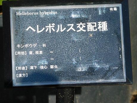 DSCN4489
