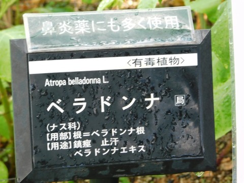 DSCN7329