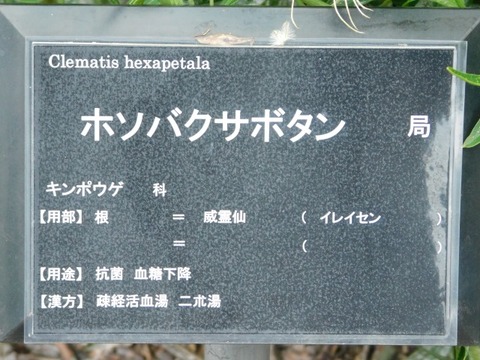 DSCN7149