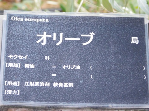 DSCN5073