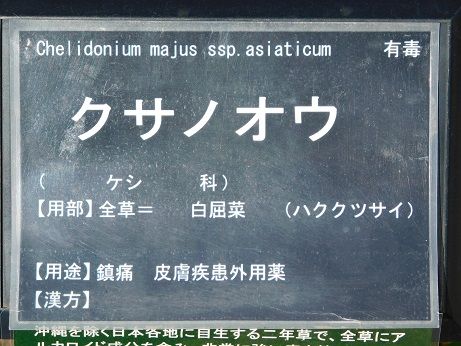 DSCN4478