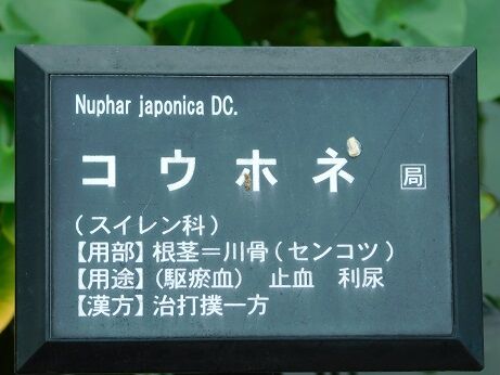 DSCN9923