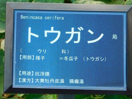 DSCN3588