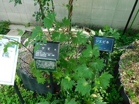 DSCN0123