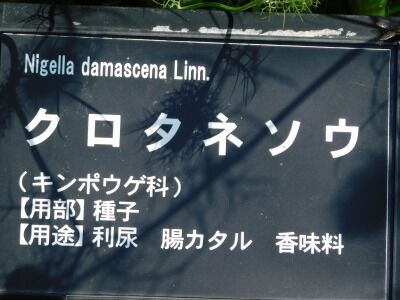 DSCN1985
