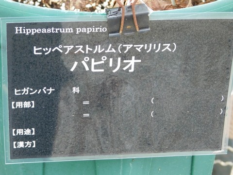 DSCN3686