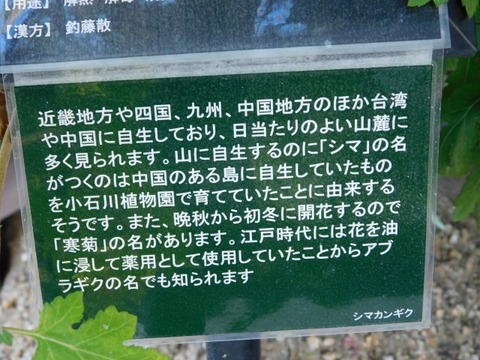 DSCN3180