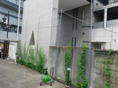 DSCN2274