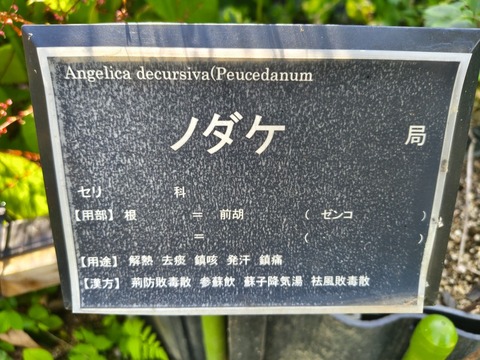 IMG_20261003_141433521_HDR