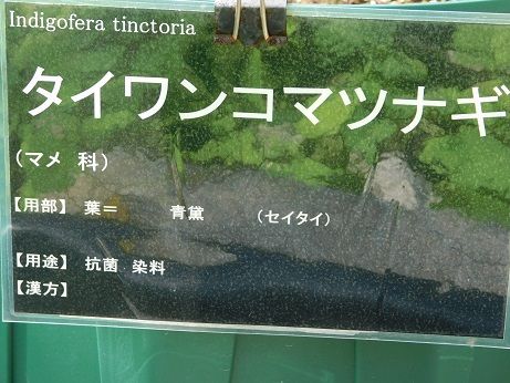 DSCN3806