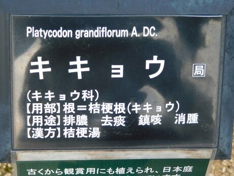 DSCN9818