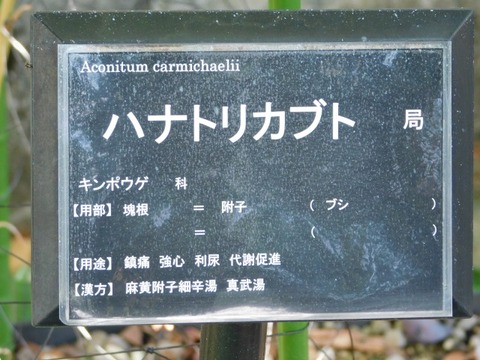 DSCN3057