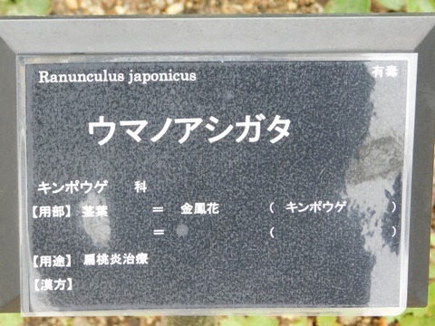DSCN6439