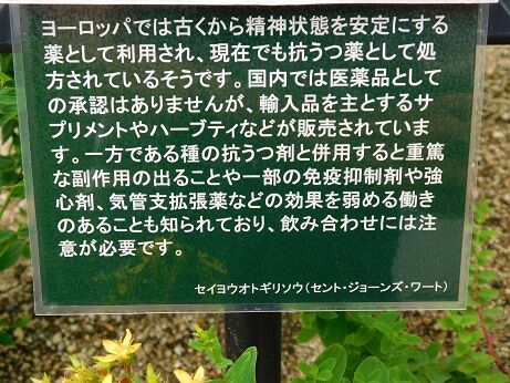 DSCN9908