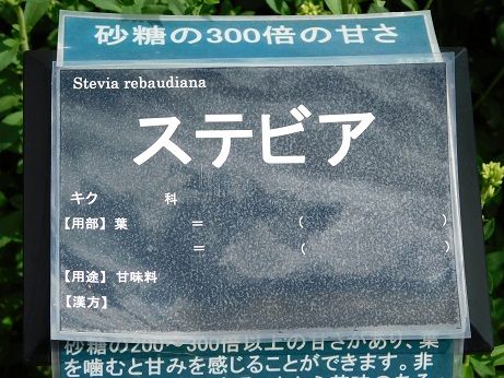 DSCN6158