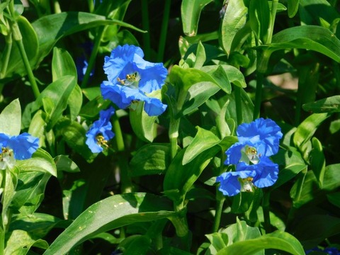 DSCN2192