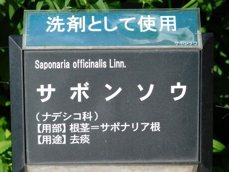 DSCN9860
