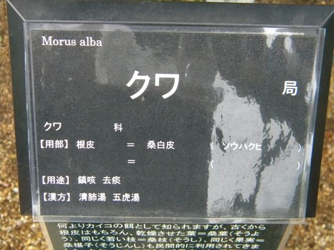 DSCN9673