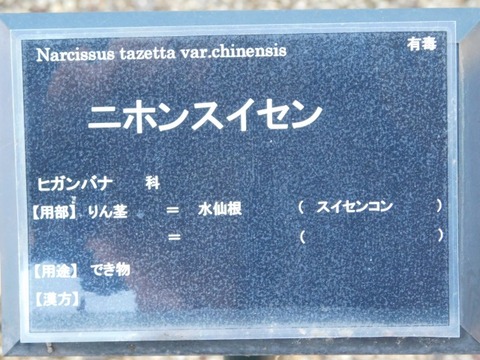 DSCN3212