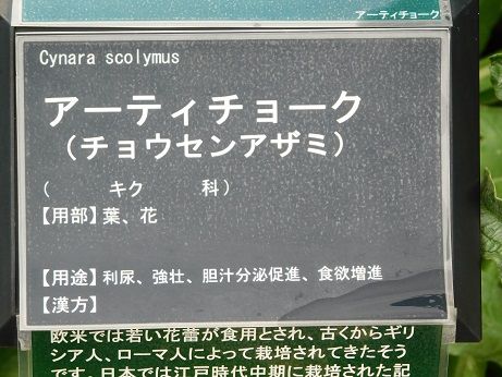 DSCN5281