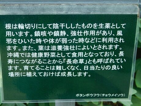 DSCN9949