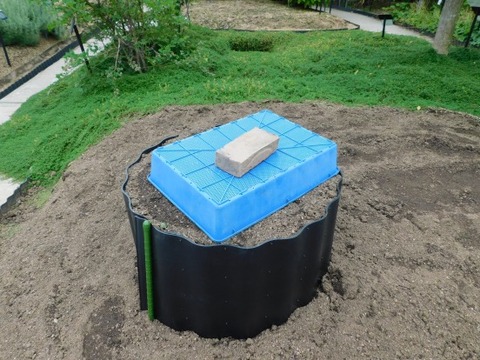 DSCN2080