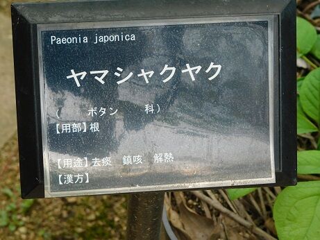 DSCN9257