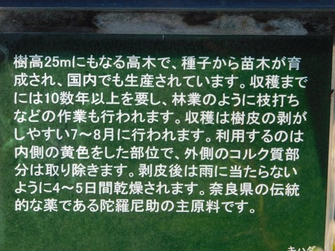 DSCN3073