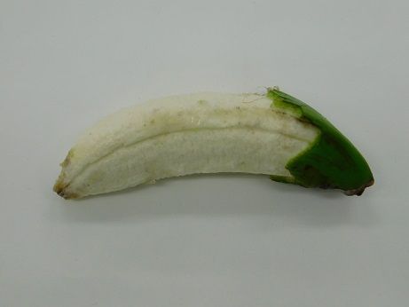 DSCN4173