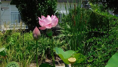 DSCN8119